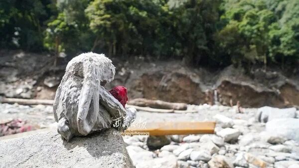 西藏土石流揪心画面 “它”孤零零静坐淤泥中