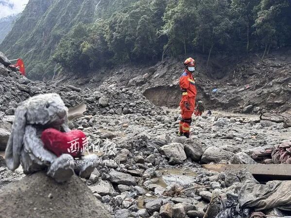 西藏土石流揪心画面 “它”孤零零静坐淤泥中