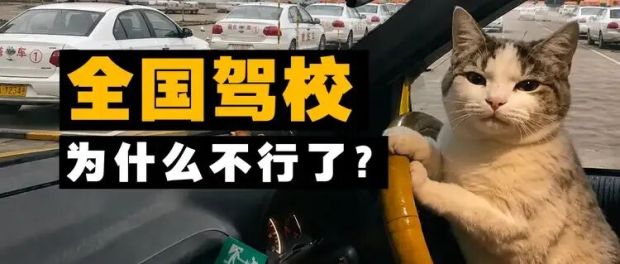全国驾校大崩溃:爱骂人的教练求人学车 全国驾校大崩溃:爱骂人的教练求人学车