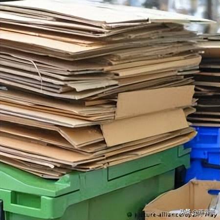 价格暴涨100%!五类废品成抢手货 别随便扔掉 价格暴涨100%!五类废品成抢手货 别随便扔掉