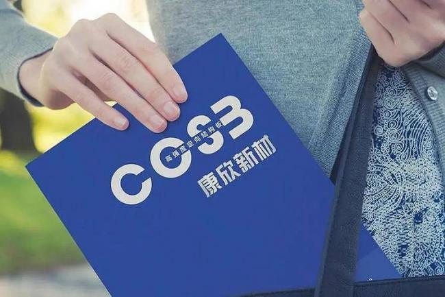 一家4口掏空国资10几亿！逃离7年后才东窗事发