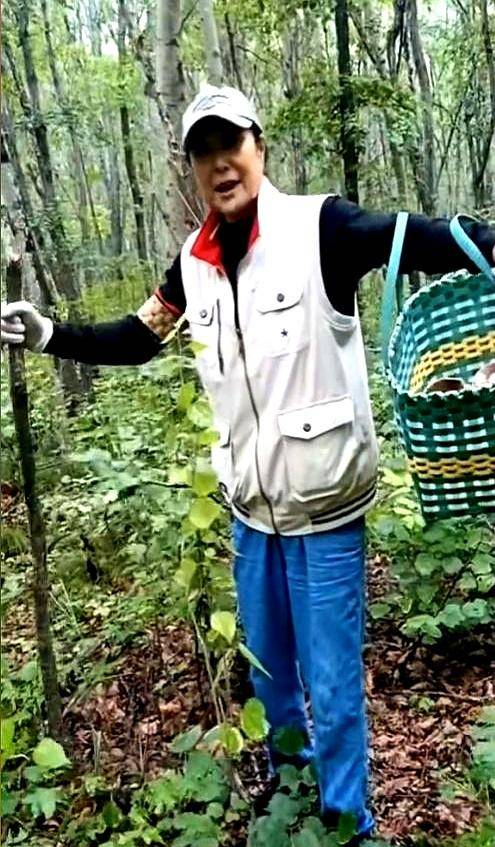 女排首任队长弃官下海,北京有楼女儿是国际超模 女排首任队长弃官下海,北京有楼女儿是国际超模