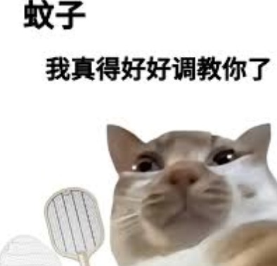 半夜抓蚊子 网友疯传1狠招 半夜抓蚊子 网友疯传1狠招