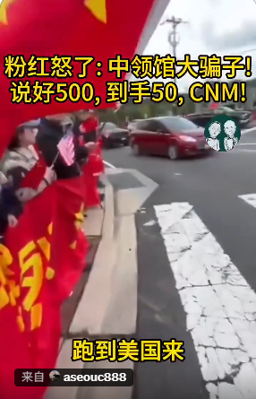 粉红怒了:中领馆大骗子!说好500到手50 粉红怒了:中领馆大骗子!说好500到手50