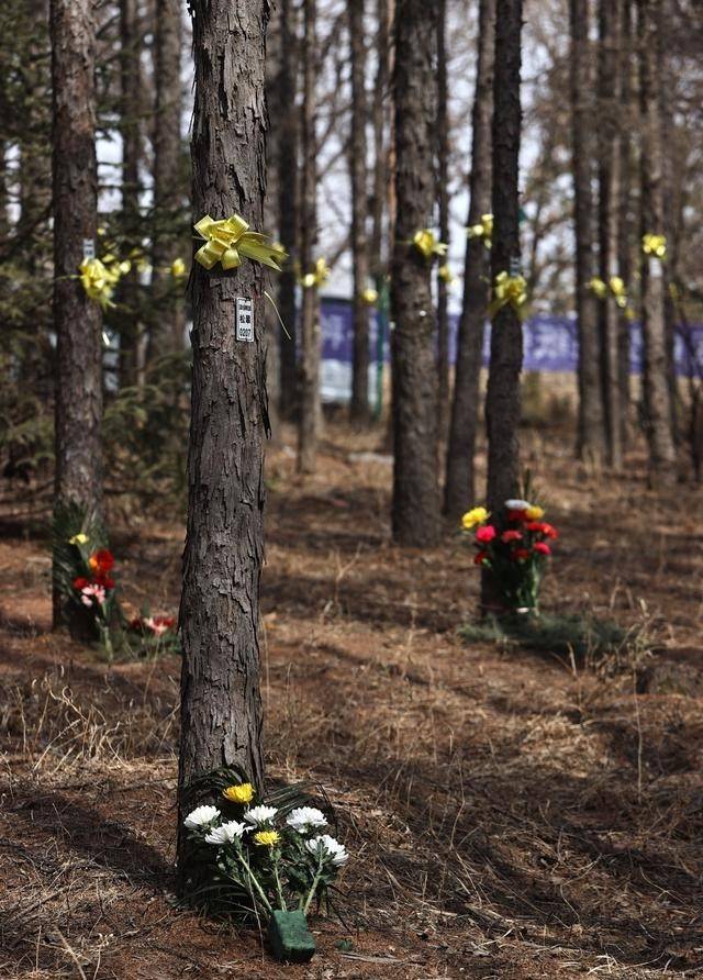 殡葬业寒冬将至?并不是因为死亡少了... 殡葬业寒冬将至?并不是因为死亡少了...