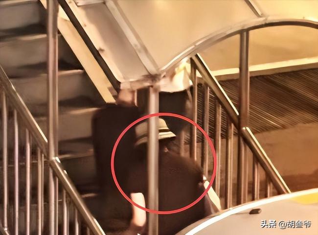 曝董卿节目取消原因 董卿连夜落寞离京