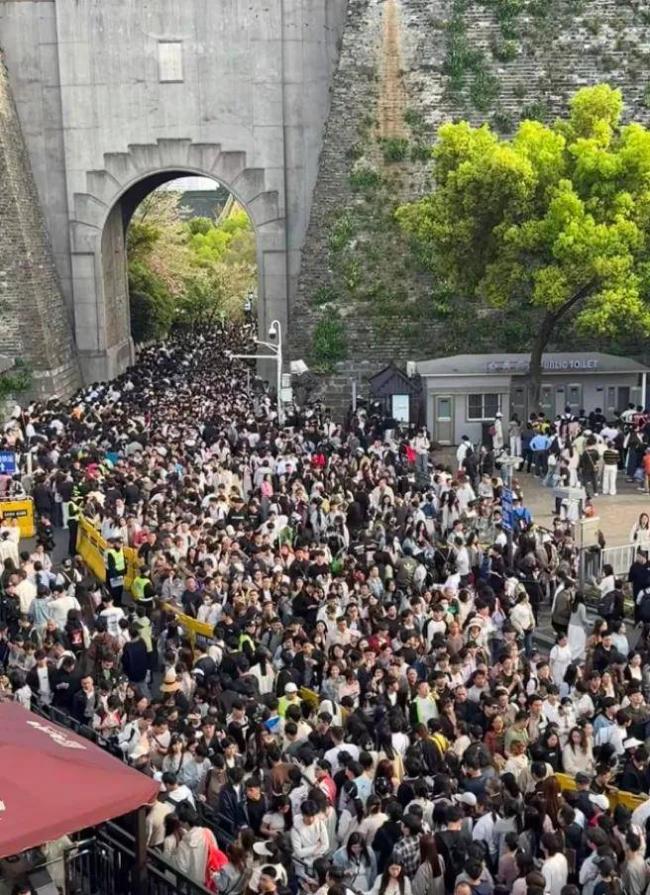 笑麻了!纯过日子人爆火 笑麻了!纯过日子人爆火