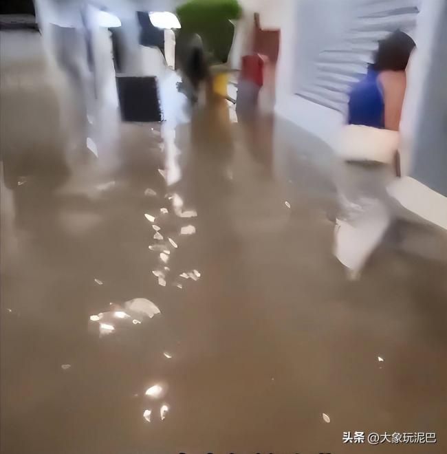 �ֵ������������͵ı������жࡰ������