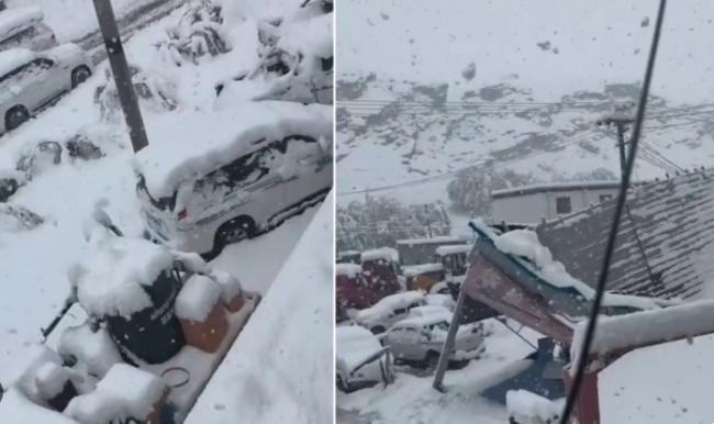 遭遇特大暴雪 曝西藏游客和牧民已断粮多日 遭遇特大暴雪 曝西藏游客和牧民已断粮多日