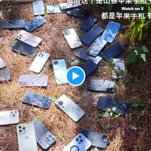 妙瓦底电诈园重建  现场爆出惊人一幕