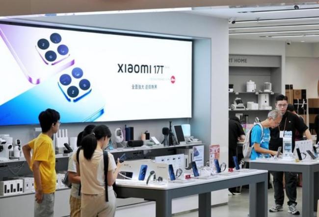“AI天才少女”入职小米10个月直升22级