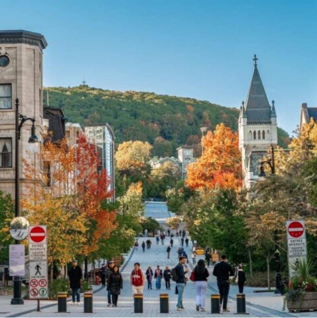 THE世界大学排名:加国高校洗牌,滑铁卢跌16位 THE世界大学排名:加国高校洗牌,滑铁卢跌16位