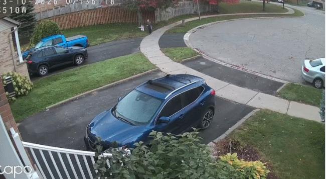 ����! �г���ѡ�˱��ص���! ��һĻ���������