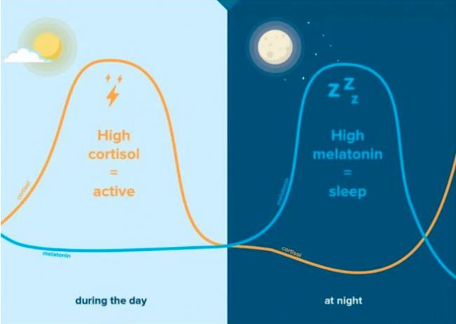 睡前运动到底是助眠还是扰眠?关键在这 睡前运动到底是助眠还是扰眠?关键在这