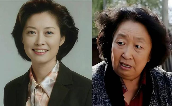 倪萍痛失两位“至亲”，还得为儿子操心