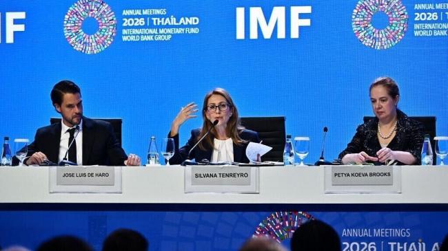IMF������˥�й����ã��������б�������������