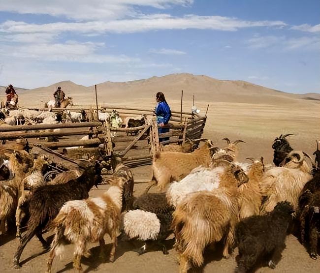 蒙古国危机,正在考验中国40年的奋斗成果 蒙古国危机,正在考验中国40年的奋斗成果