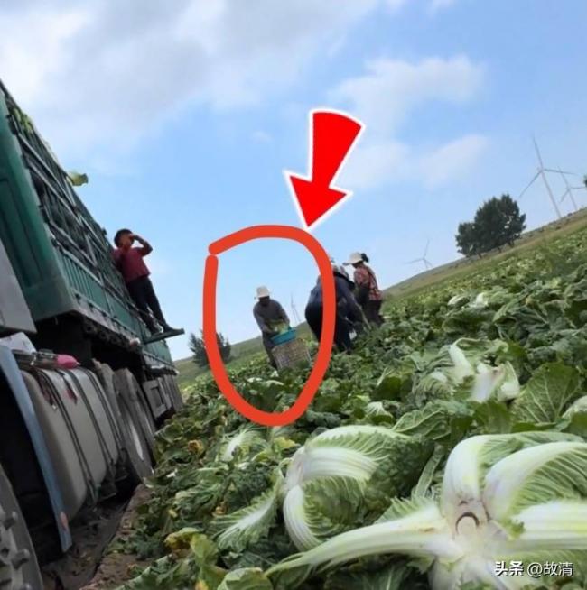 毒性超百倍,流窜全国:央视又曝光一黑心食品 毒性超百倍,流窜全国:央视又曝光一黑心食品