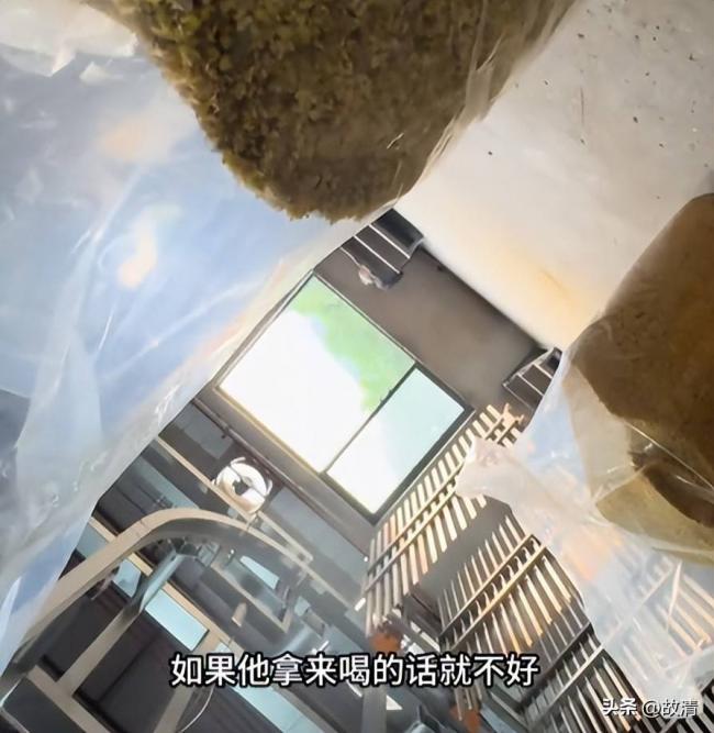 毒性超百倍,流窜全国:央视又曝光一黑心食品 毒性超百倍,流窜全国:央视又曝光一黑心食品