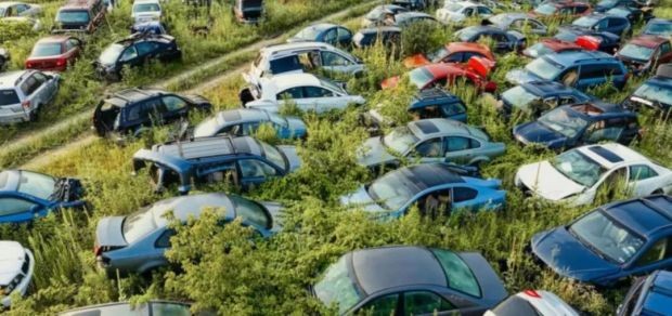 129个中国新能源车，正被外媒判死刑