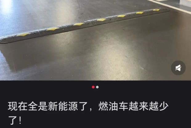 129个中国新能源车，正被外媒判死刑