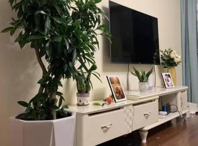 �������ţ���������⡰4��������