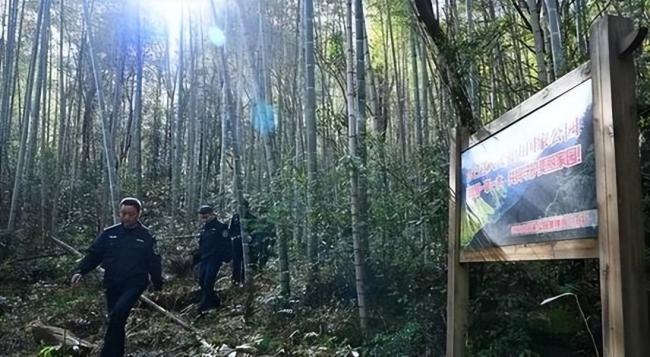 胆大包天！贩卖“野味” 护林员布 980 米电网