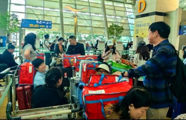 突发严重网络故障 国航南航及东航系统全瘫痪 突发严重网络故障 国航南航及东航系统全瘫痪